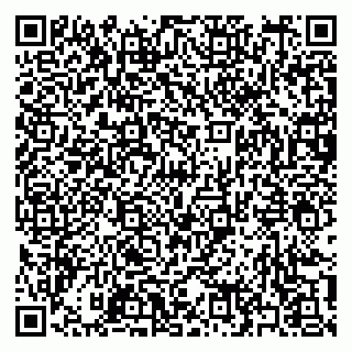 vCard 79397161333