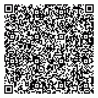 vCard 79397161335