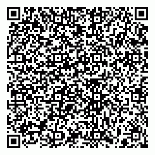 vCard 79397161373