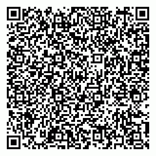 vCard 79397161383