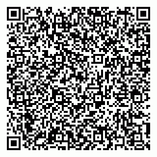 vCard 79397163087