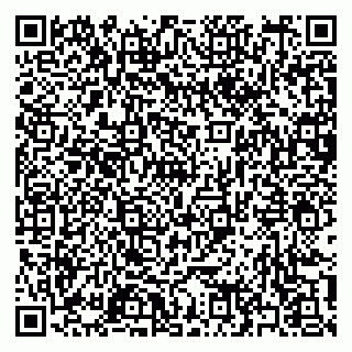 vCard 79397163133