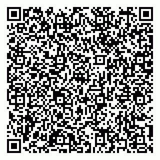 vCard 79397163151