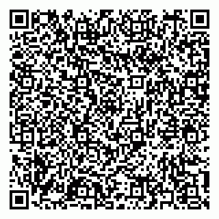 vCard 79397163197