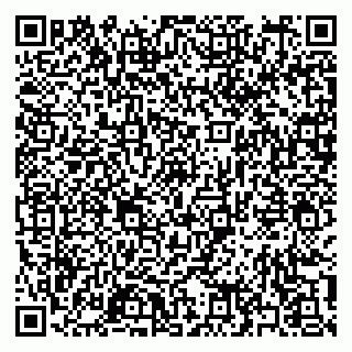 vCard 79397163199