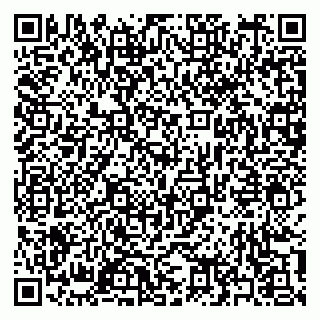 vCard 79397163211