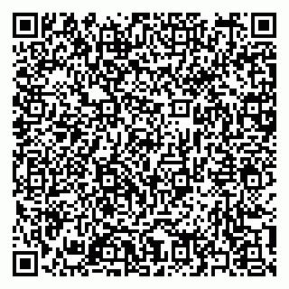 vCard 79397163221