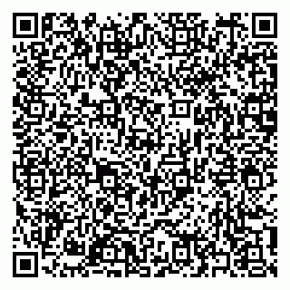 vCard 79397163271