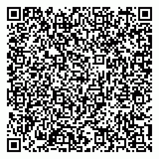 vCard 79397163289