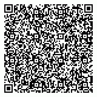 vCard 79397163299