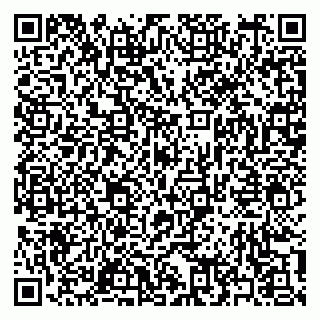 vCard 79397163305