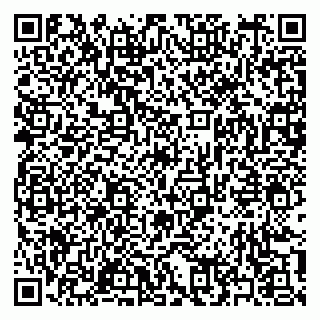 vCard 79397163313