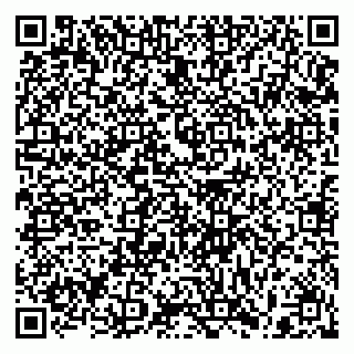 vCard 79397163329