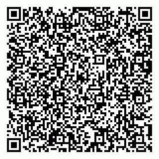 vCard 79397163334