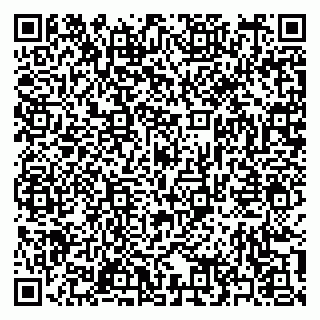 vCard 79397163381