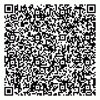 vCard 79397163489