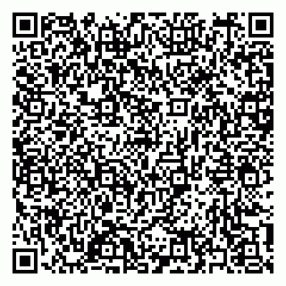 vCard 79397163527