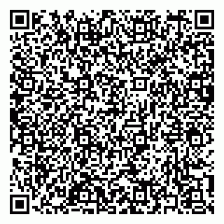 vCard 79397163531