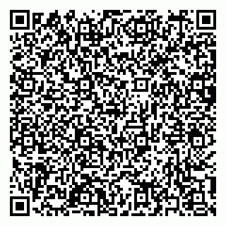 vCard 79397163538