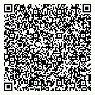 vCard 79397163589
