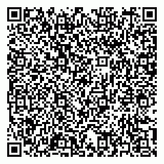 vCard 79397163713
