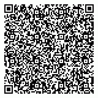 vCard 79397163801