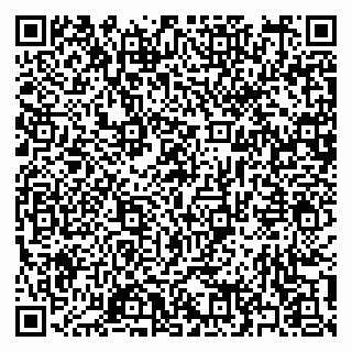vCard 79397163810