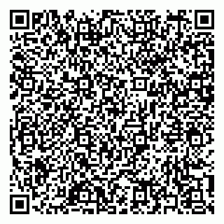 vCard 79397163811