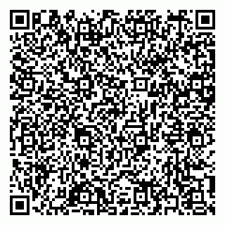 vCard 79397163821