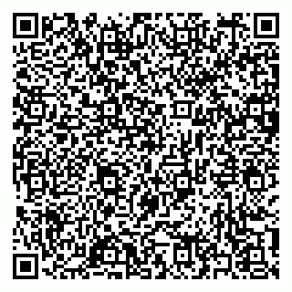 vCard 79397163839