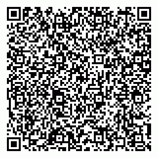 vCard 79397163861