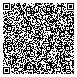 vCard 79397163867