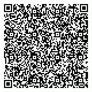 vCard 79397163873