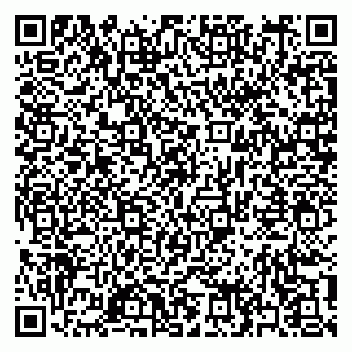 vCard 79397163885