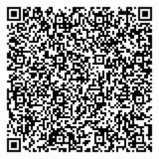 vCard 79397163889