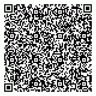 vCard 79397163891