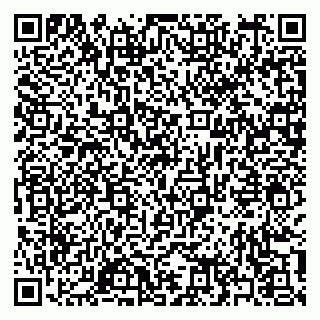 vCard 79397163899