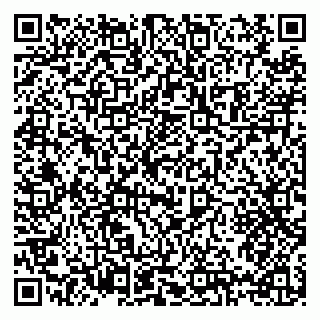 vCard 79397164732