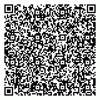 vCard 79397165131