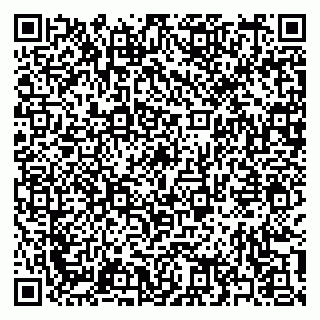 vCard 79397165199