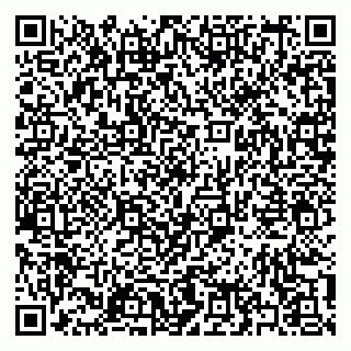 vCard 79397165285