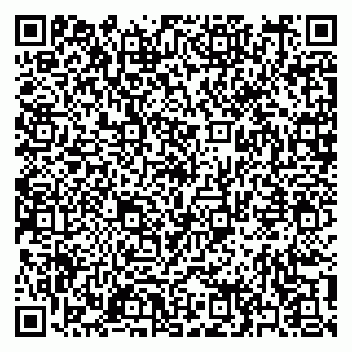 vCard 79397165295
