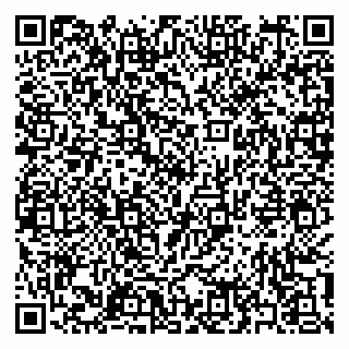 vCard 79397165298
