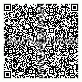 vCard 79397165300