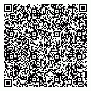 vCard 79397165317