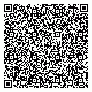 vCard 79397165381