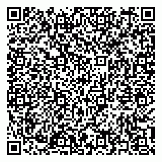 vCard 79397165388