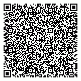 vCard 79397165389