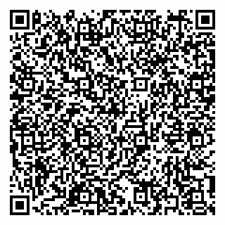 vCard 79397165500