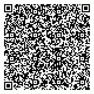 vCard 79397165529